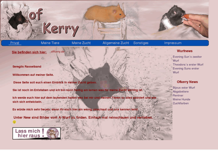 www.ofkerry.de