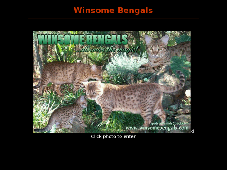 www.winsomebengals.com