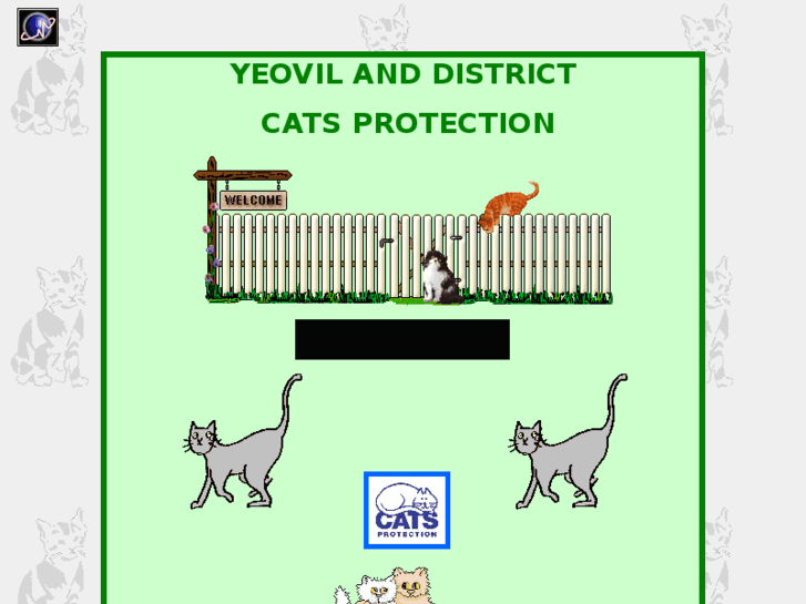 www.yeovilcatsprotection.info