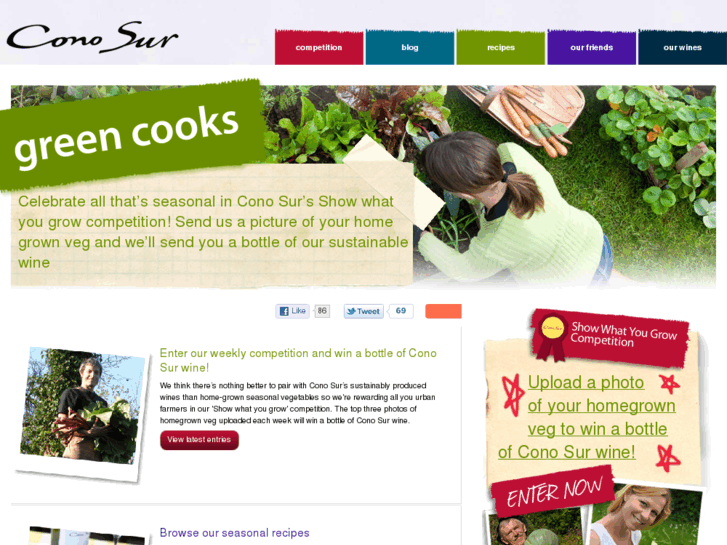 www.conosurgreencooks.com