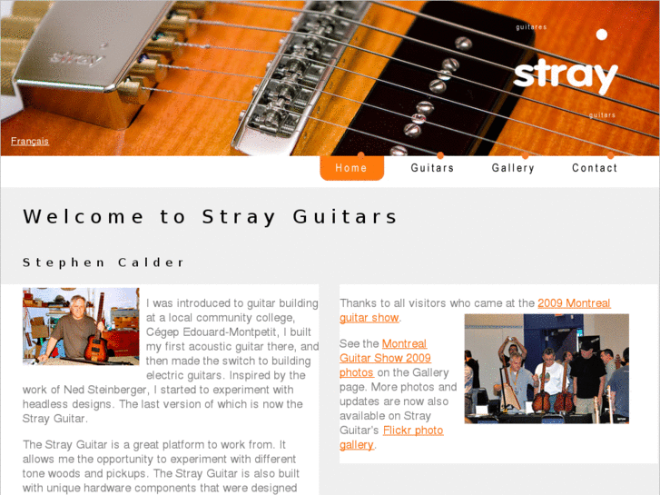 www.strayguitars.com