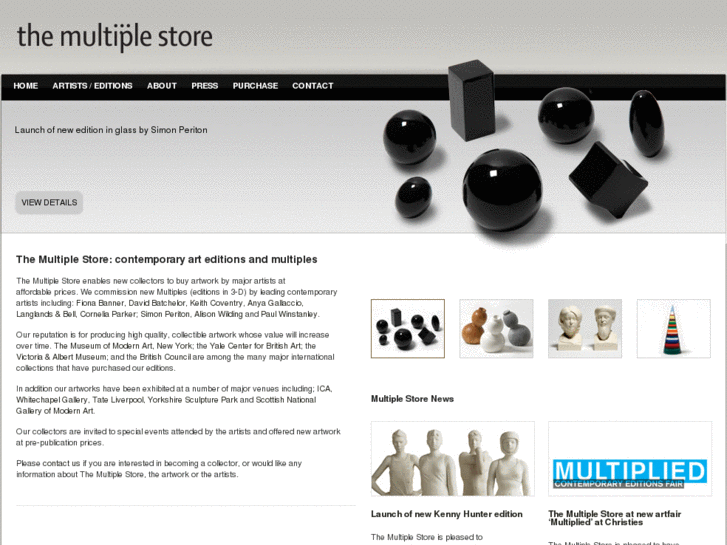 www.themultiplestore.com