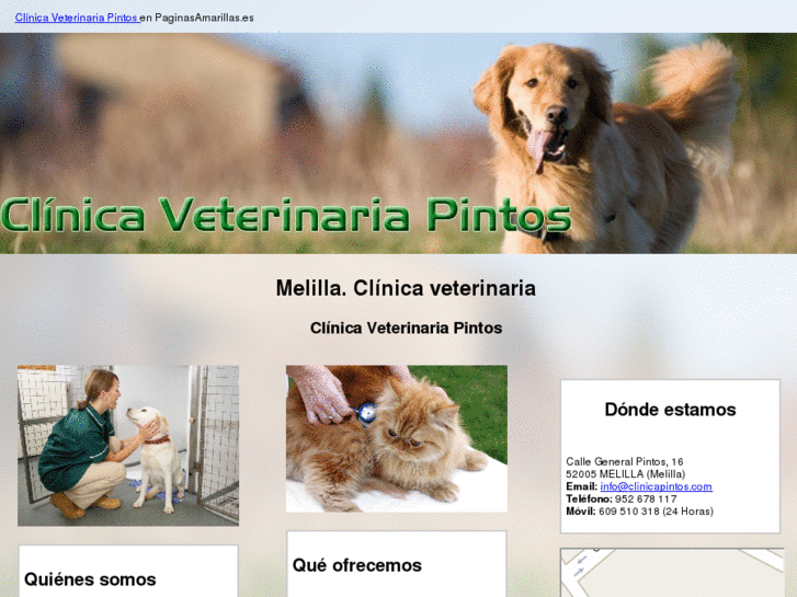 www.clinicapintos.com