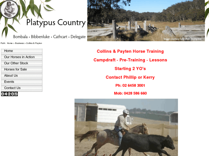 www.collinspaytenhorsetraining.com