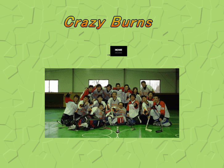 www.crazy-burns.com