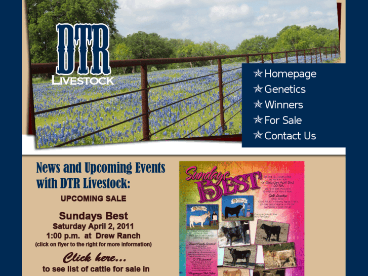 www.dtrlivestock.com