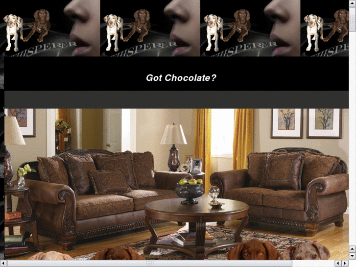 www.justchocolategreatdanes.com