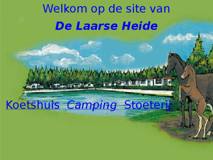 www.laarseheide.com