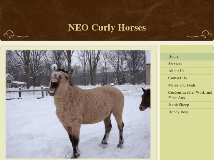 www.neocurlyhorses.com