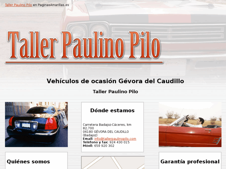 www.tallerpaulinopilo.com