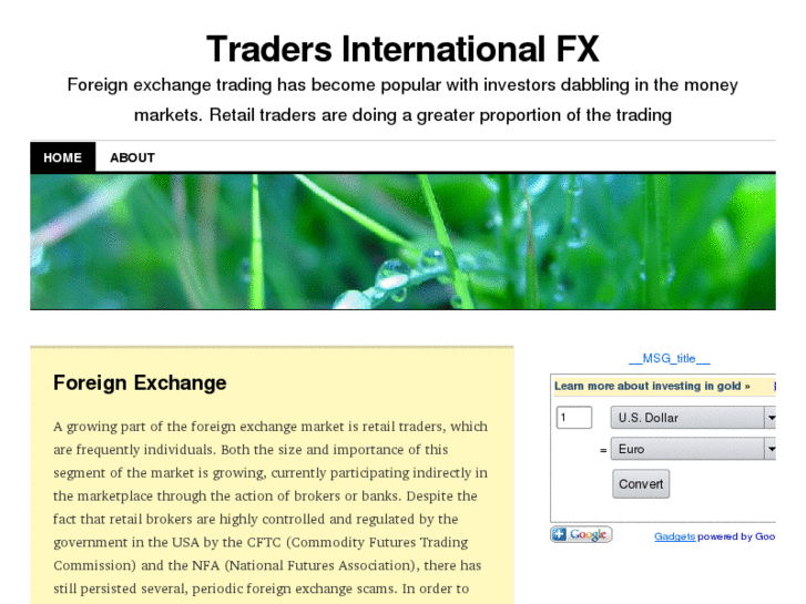 www.tradersinternationalfx.com