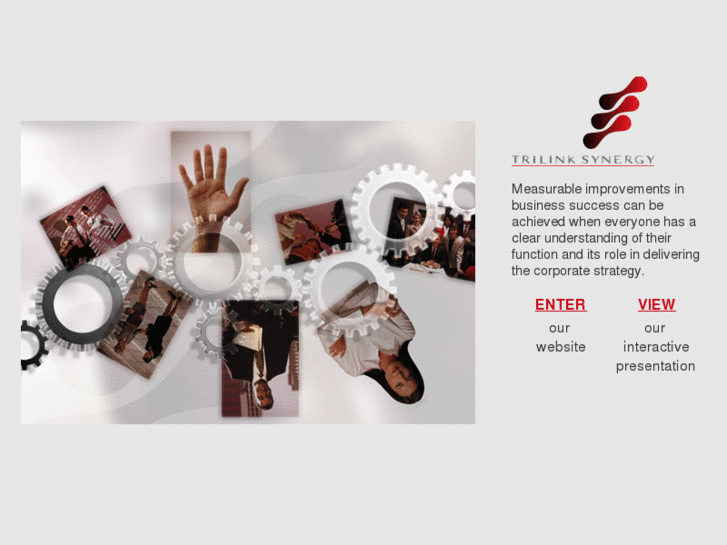 www.trilink-synergy.com