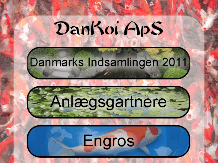 www.dankoi.dk