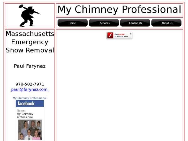 www.mychimneyprofessional.com