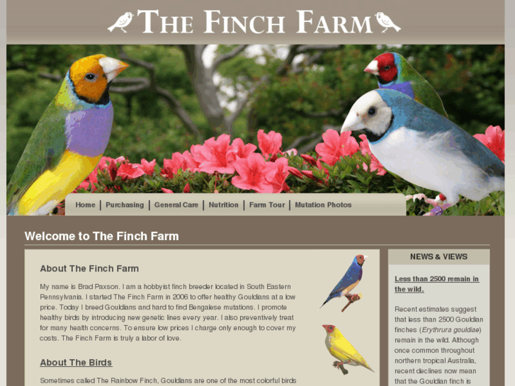 www.thefinchfarm.net