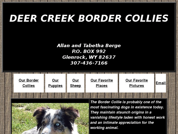 www.wyomingbordercollies.com