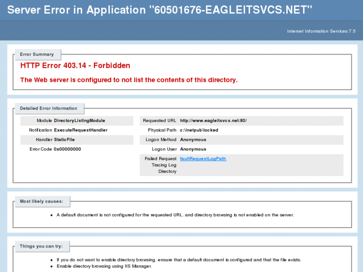 www.eagleitsvcs.net