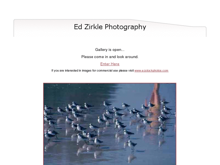 www.edzirklephotography.com