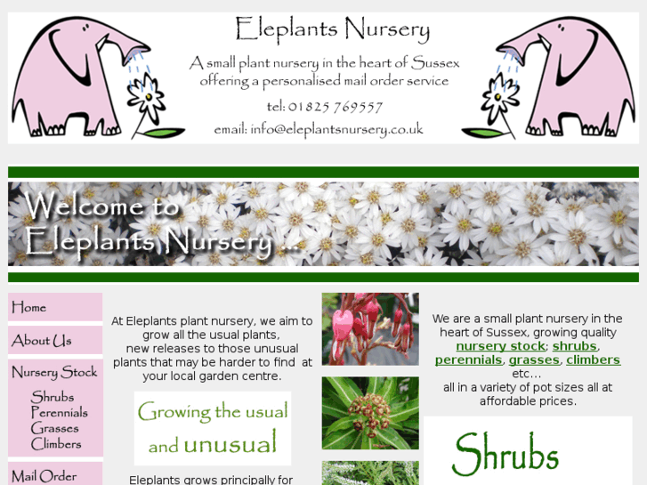 www.eleplantsnursery.com