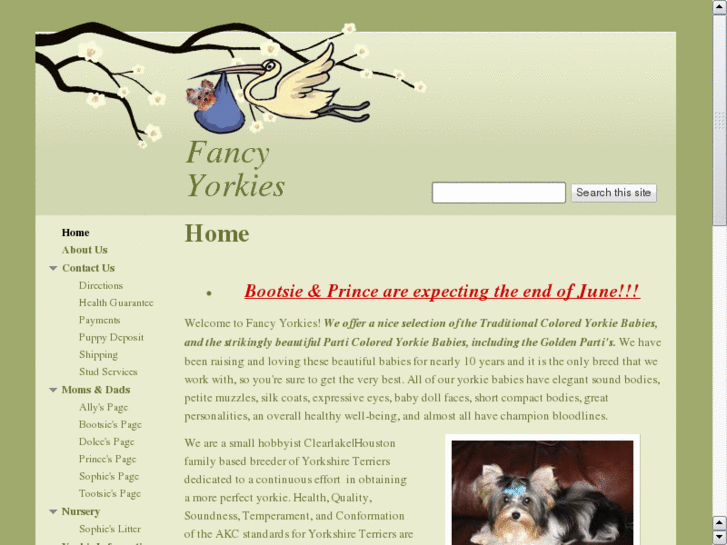 www.fancyyorkies.com