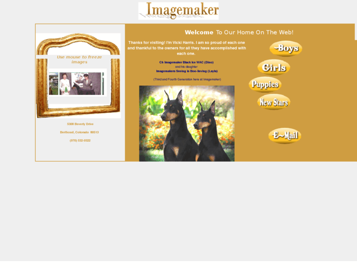 www.imagemakerdobermans.com