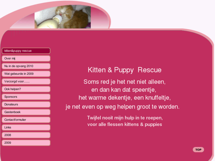 www.kitten-puppy-rescue.com