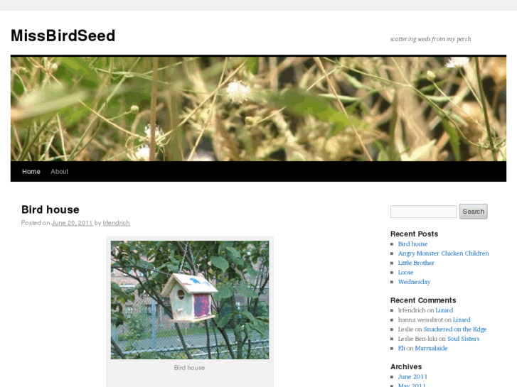 www.missbirdseed.com