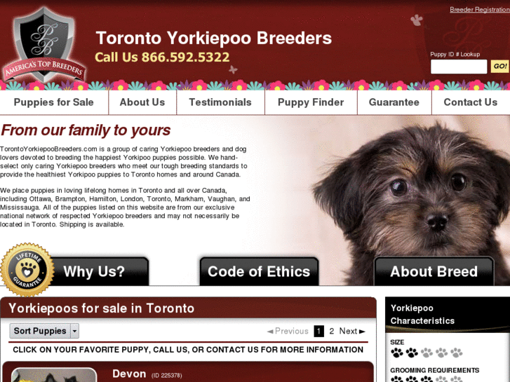 www.torontoyorkiepoobreeders.com