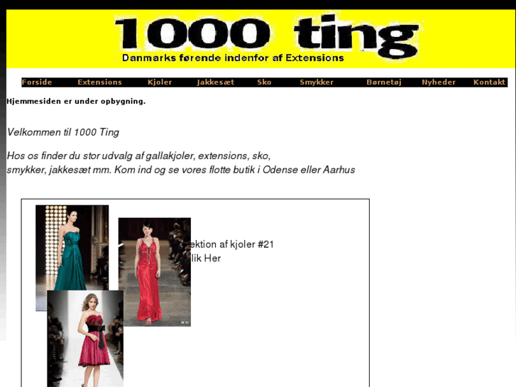 www.1000-ting.com