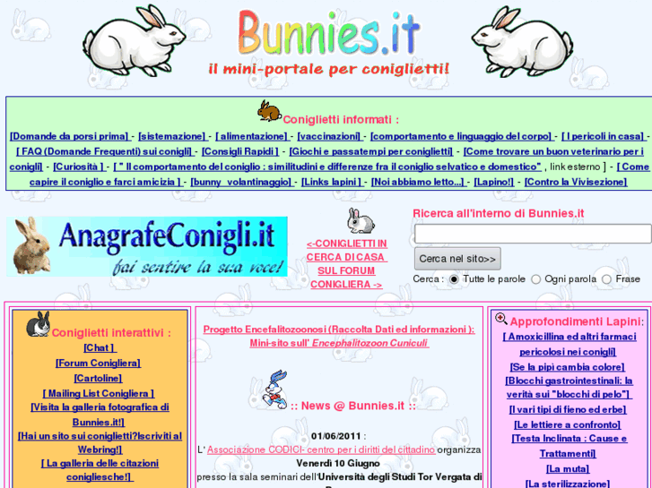 www.bunnies.it