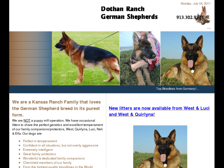 www.dothanranch.com