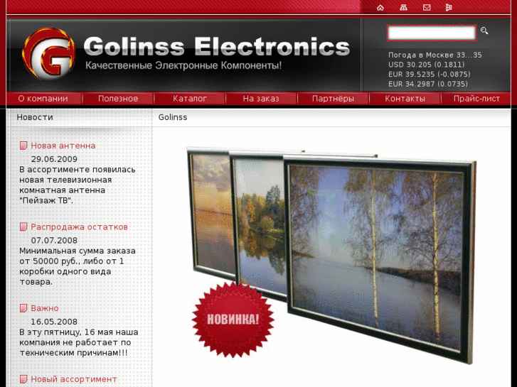 www.golinss.ru