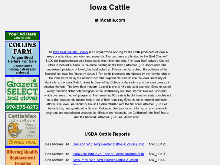 www.iacattle.com