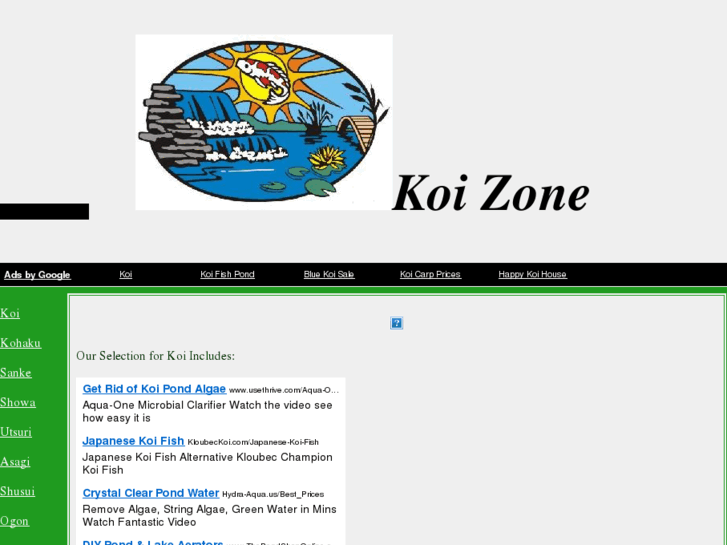 www.koizone.com