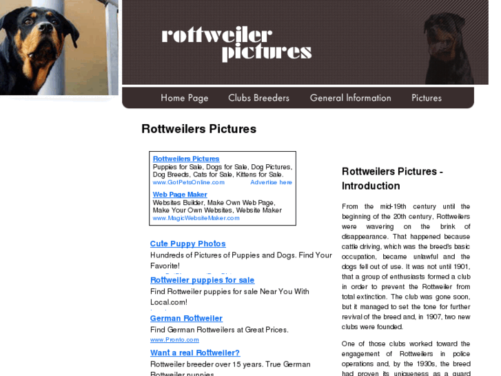 www.rottweiler-pictures.com