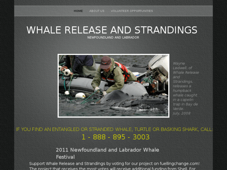 www.savethewhales.info