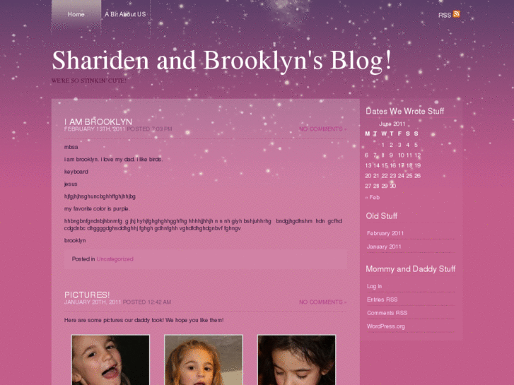 www.sharidenandbrooklyn.com