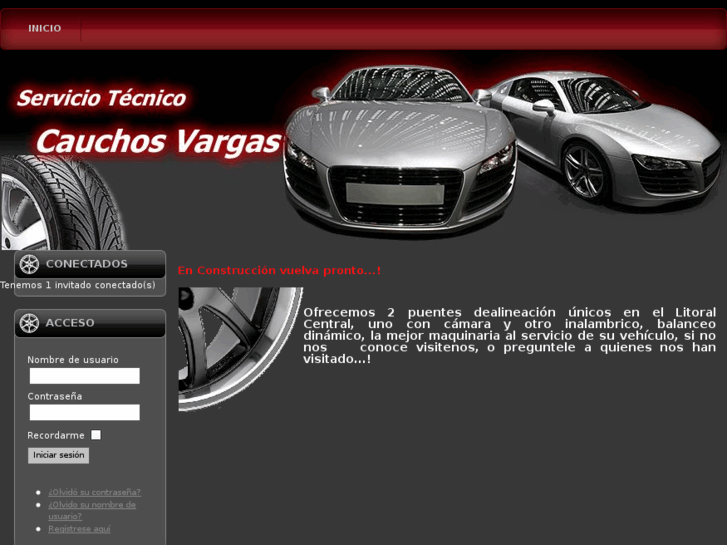 www.stcauchosvargas.com