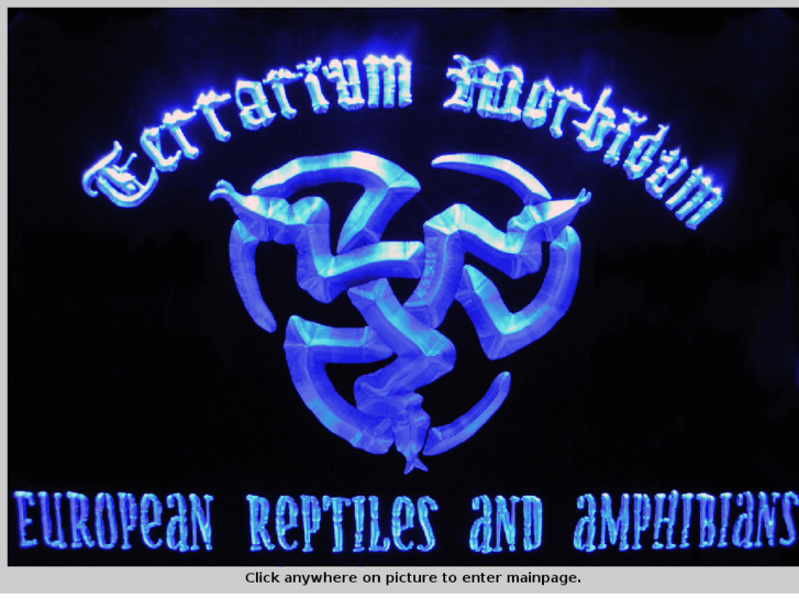 www.terrariummorbidum.se