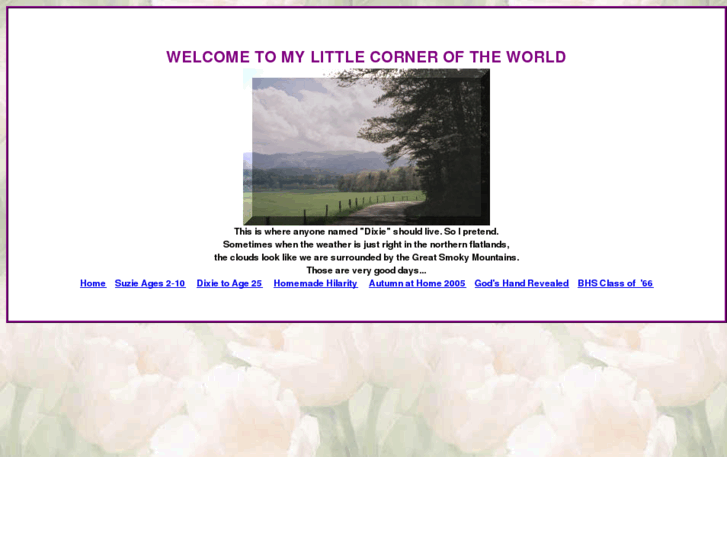 www.dixie-world.com