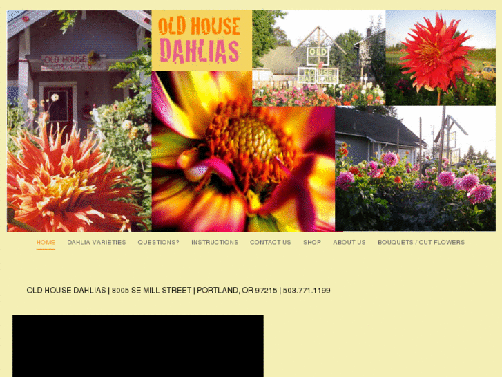 www.oldhousedahlias.com