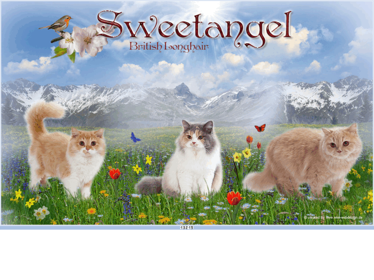 www.sweetangel.at