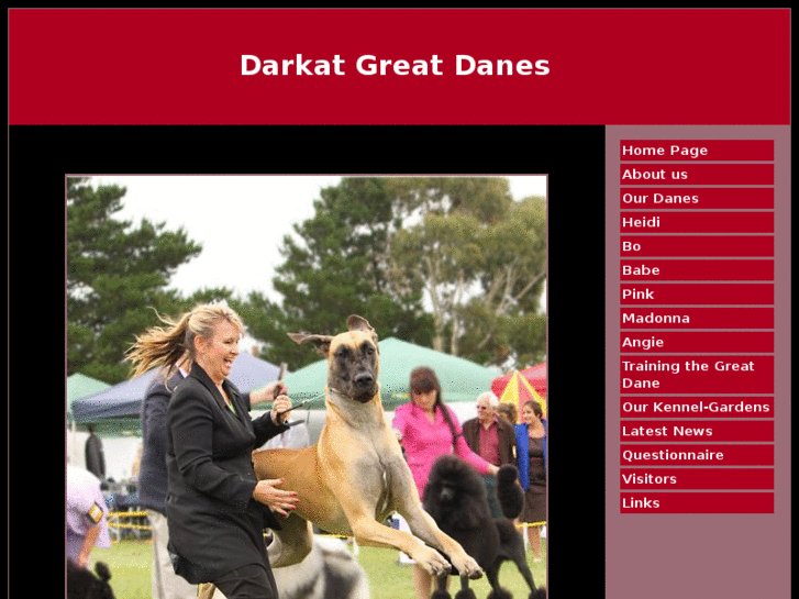 www.darkatgreatdanes.com