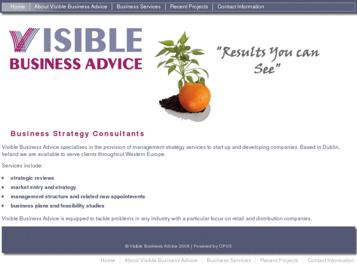 www.visiblebusinessadvice.ie