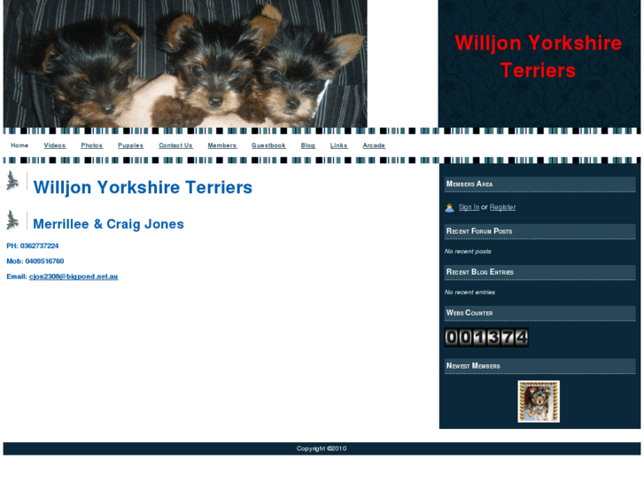 www.willjonyorkies.com