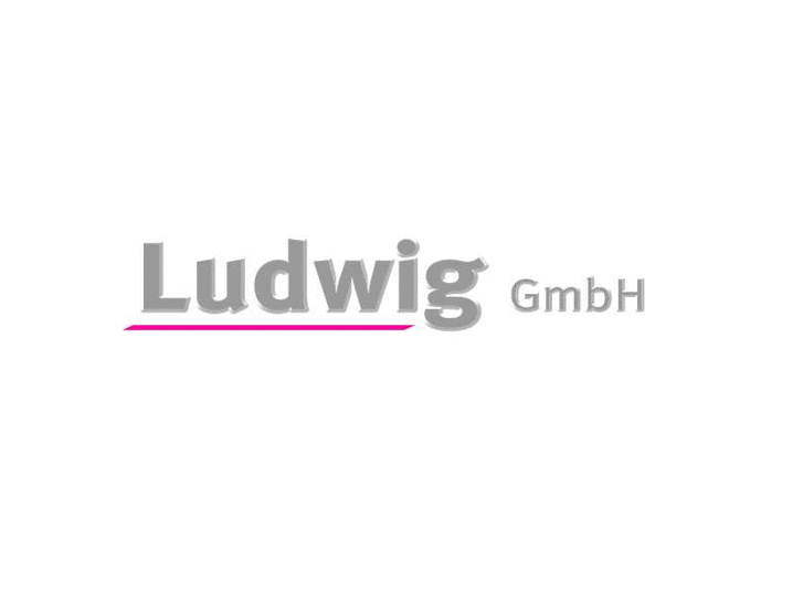 www.wzb-ludwig.com