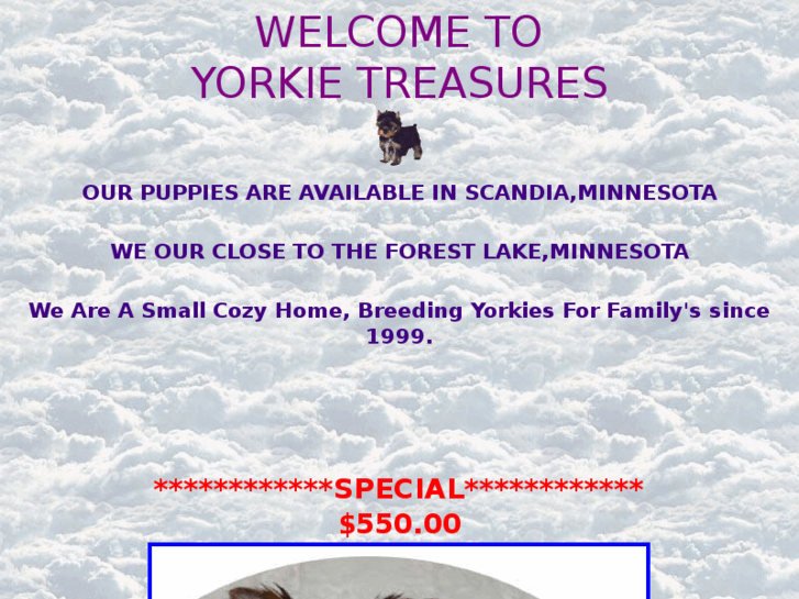 www.yorkietreasures.com