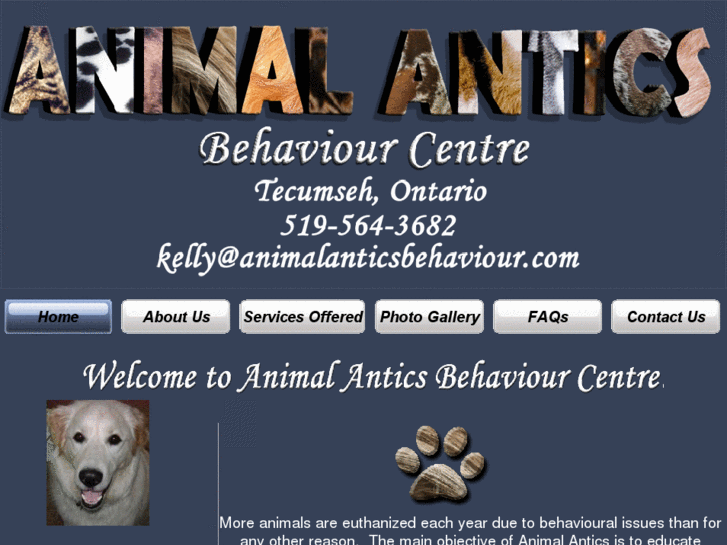 www.animalanticsbehaviour.com