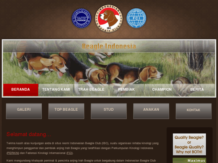 www.beagleindonesia.com