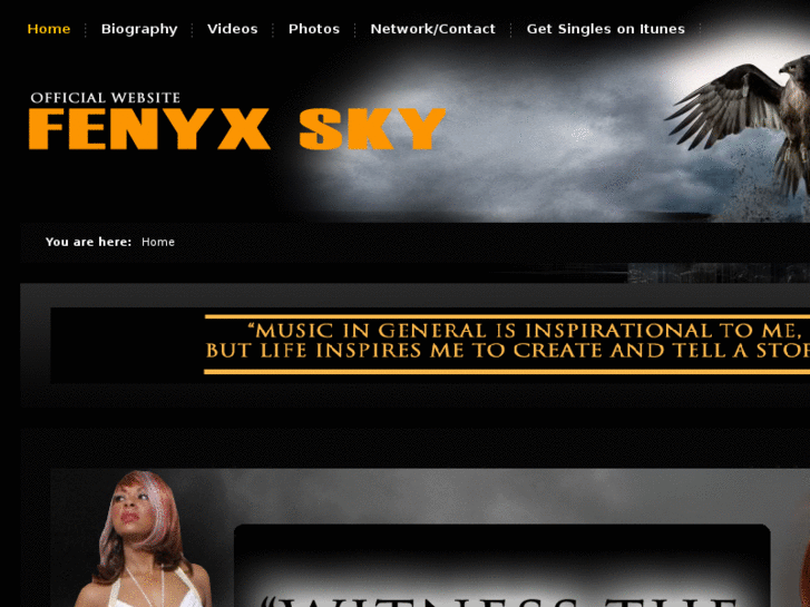 www.fenyxsky.com